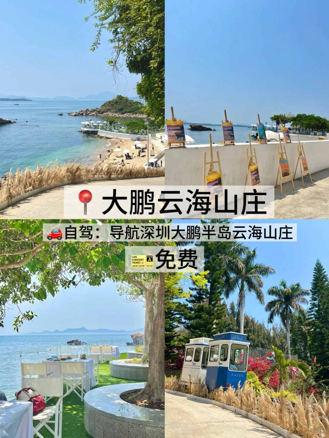 05女大/📍深圳 两天一夜旅游攻略❗️