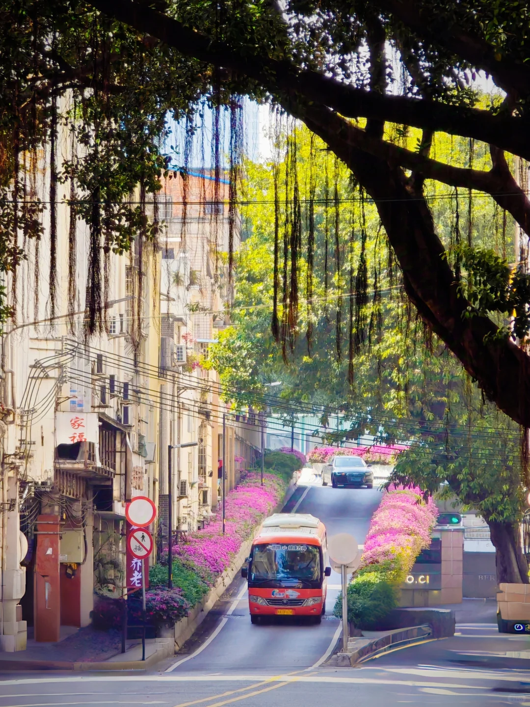 在广州一个人citywalk，拯救了我的高敏感