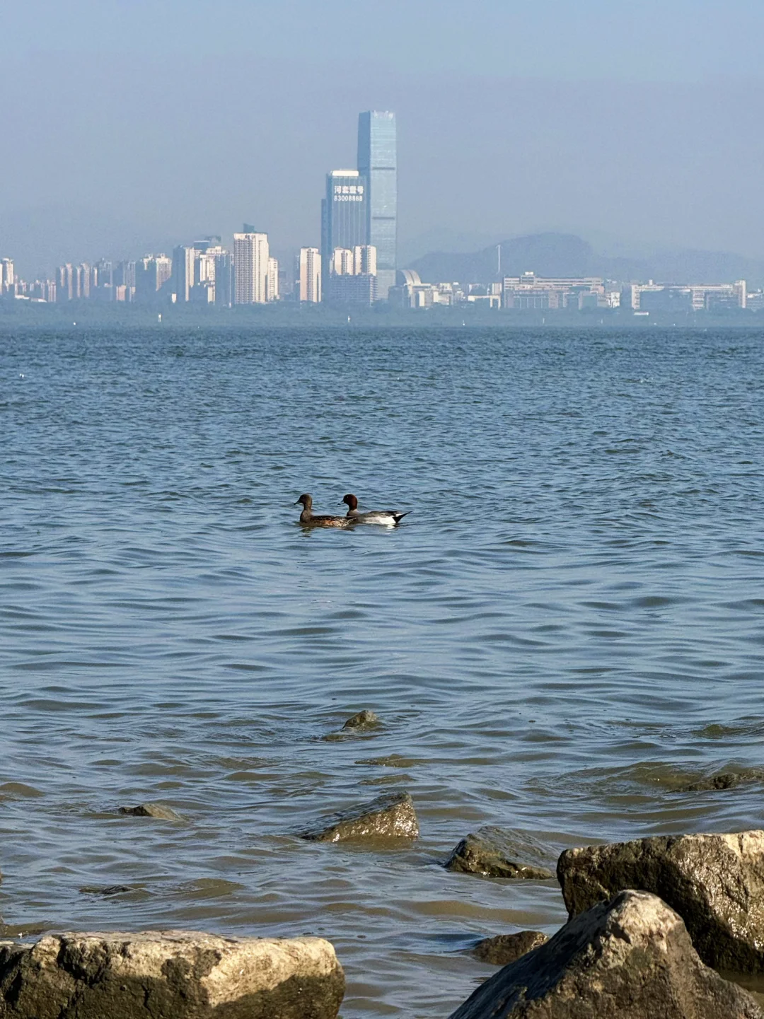 山海连城深圳湾
