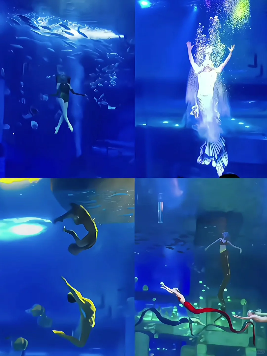 不允许你不知道❗❗广州遛娃天花板！