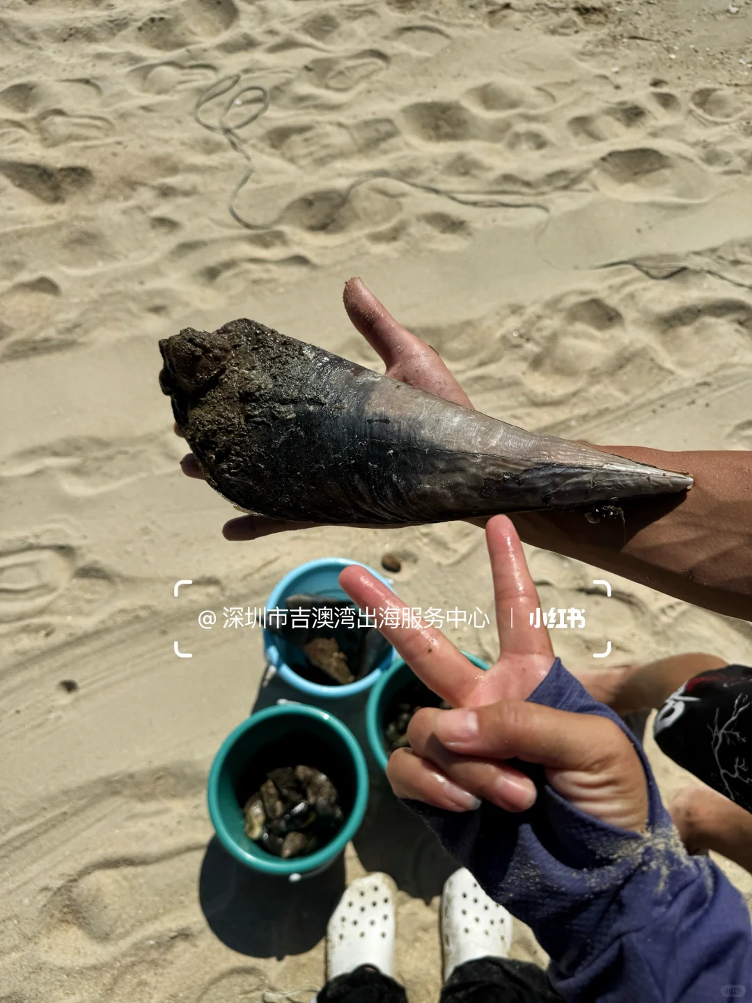 深圳玻璃海一日游🏝️人均只需100➕