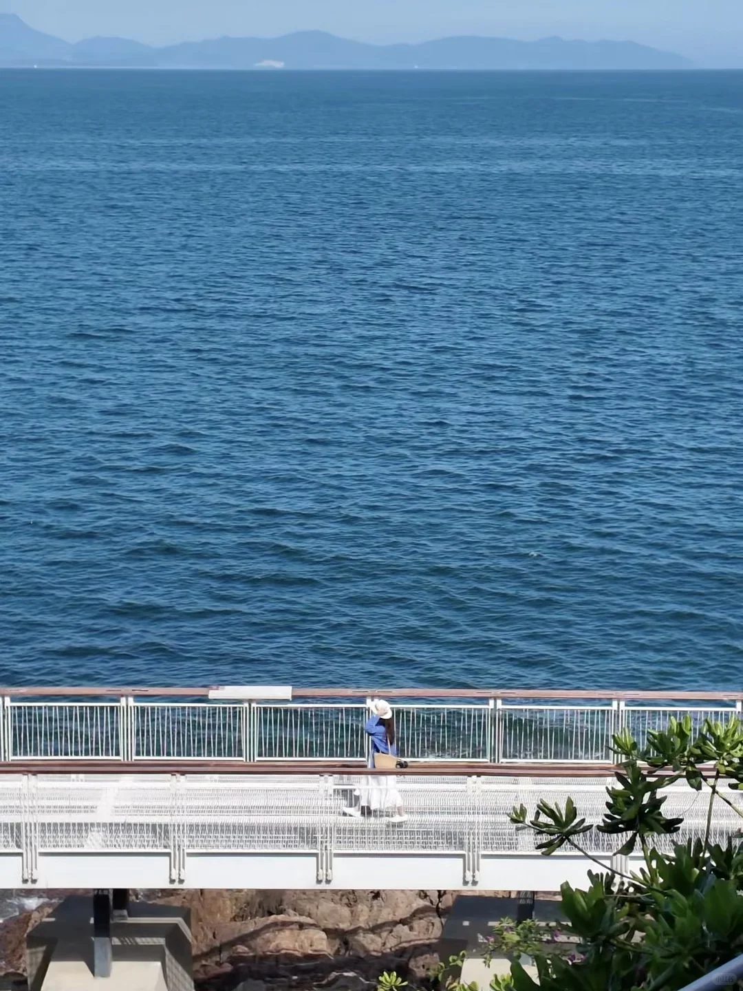 免费｜深圳18个出片的地方（附定位路线）