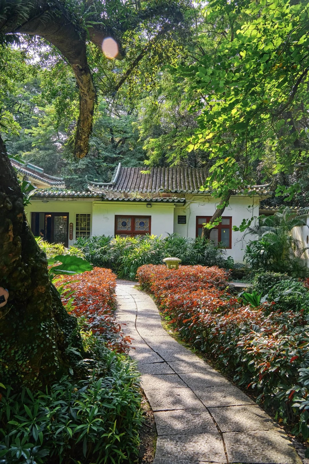 被问爆的广州古风园林☀️晴天直接美到封神～