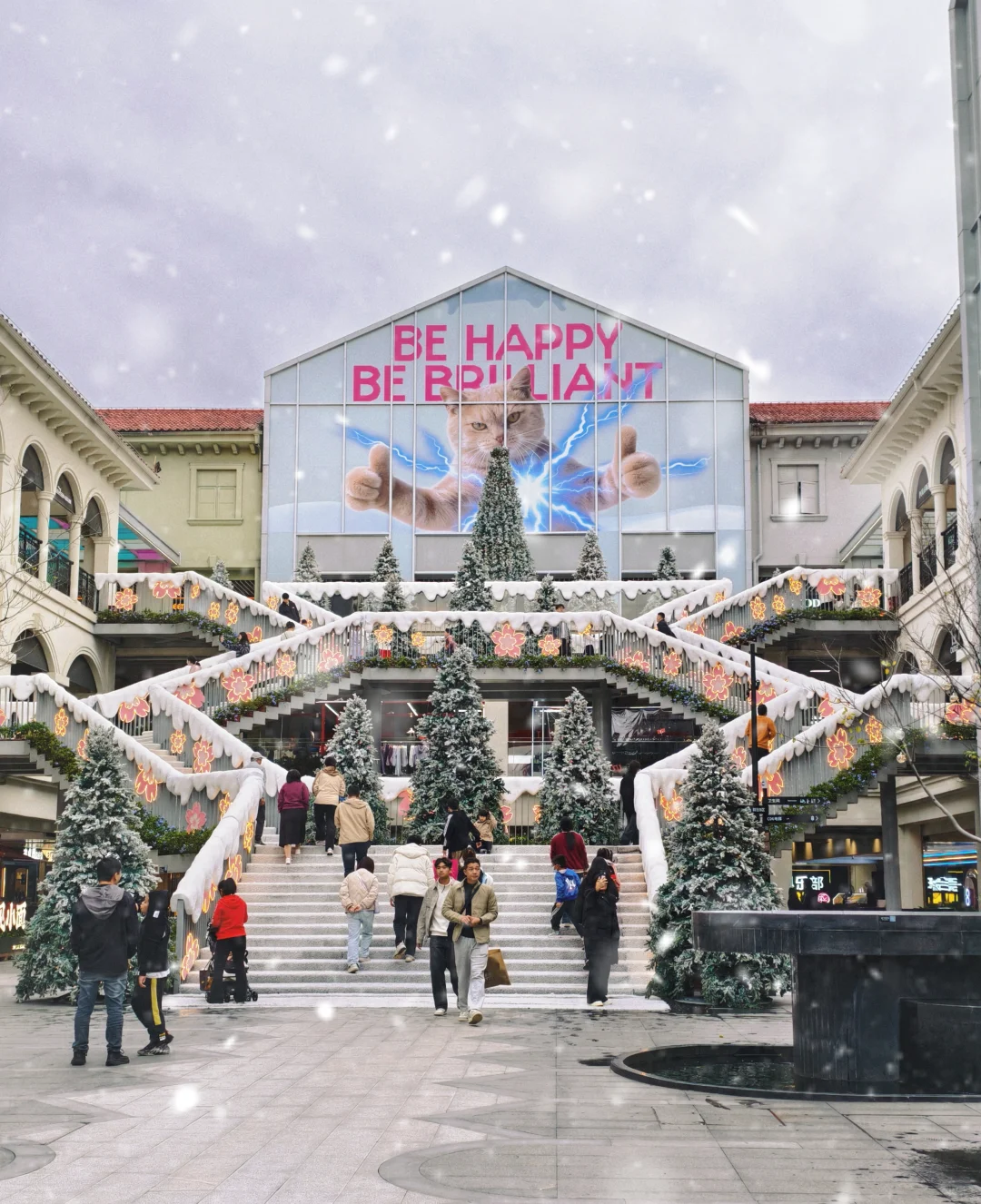 📢来啦来啦❗广州圣诞🎄免费看❄️撸宠