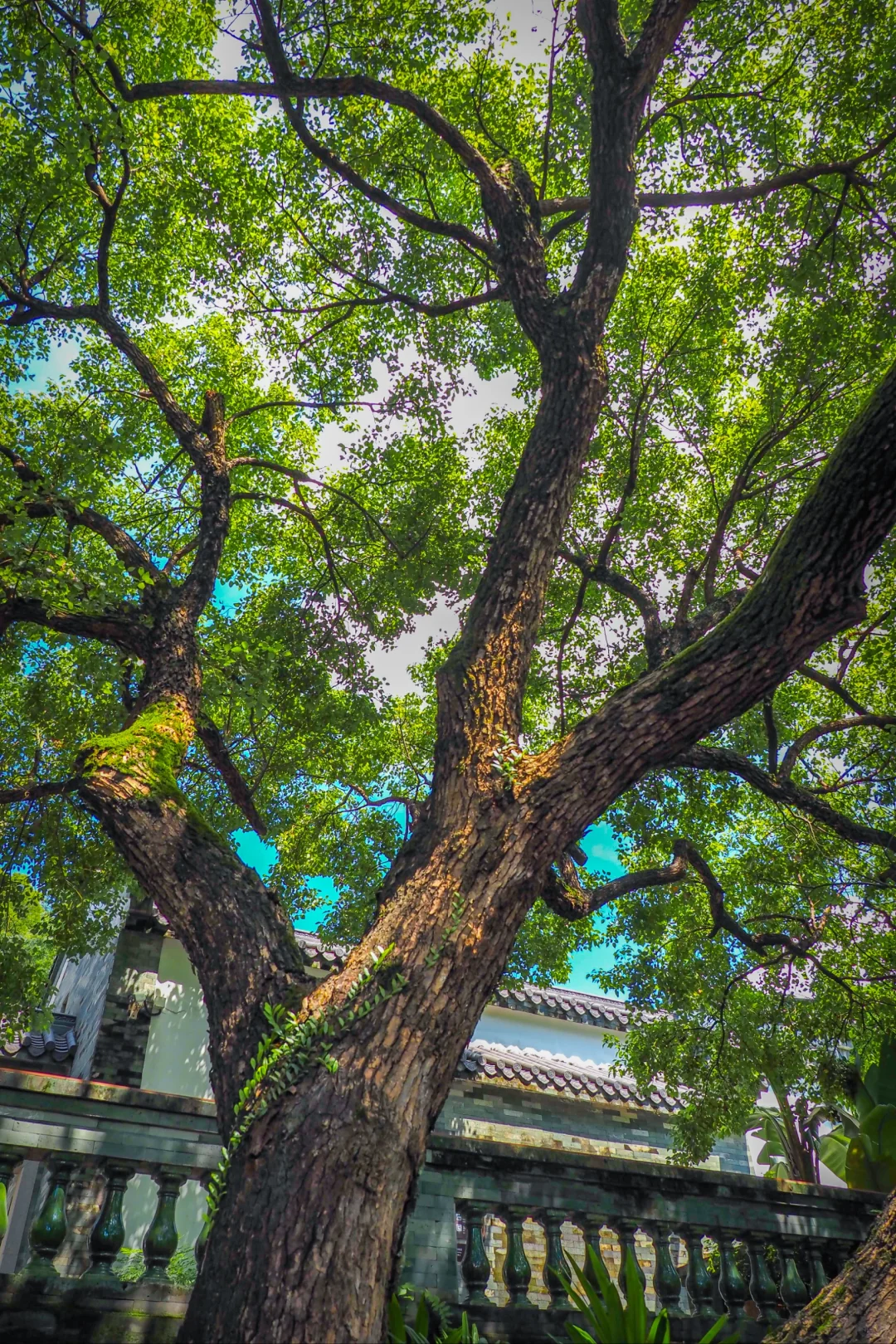 真的！人少景美的4A治愈系宝藏地