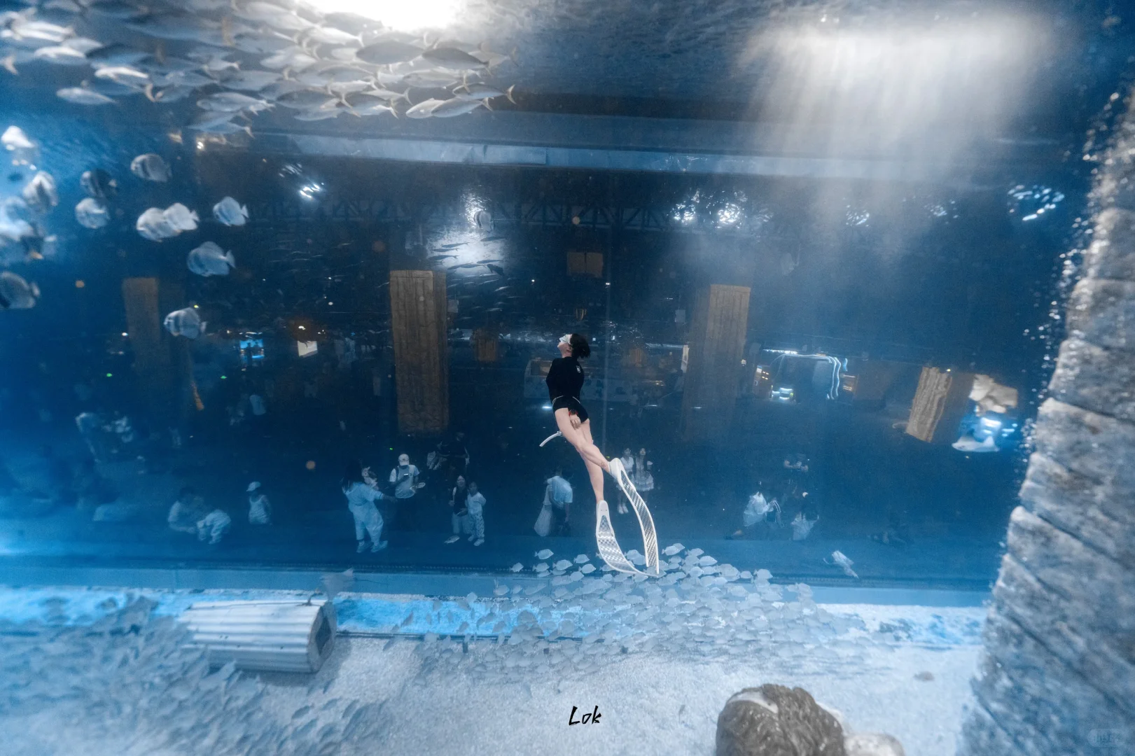 广州正佳极地海洋世界潜水中心