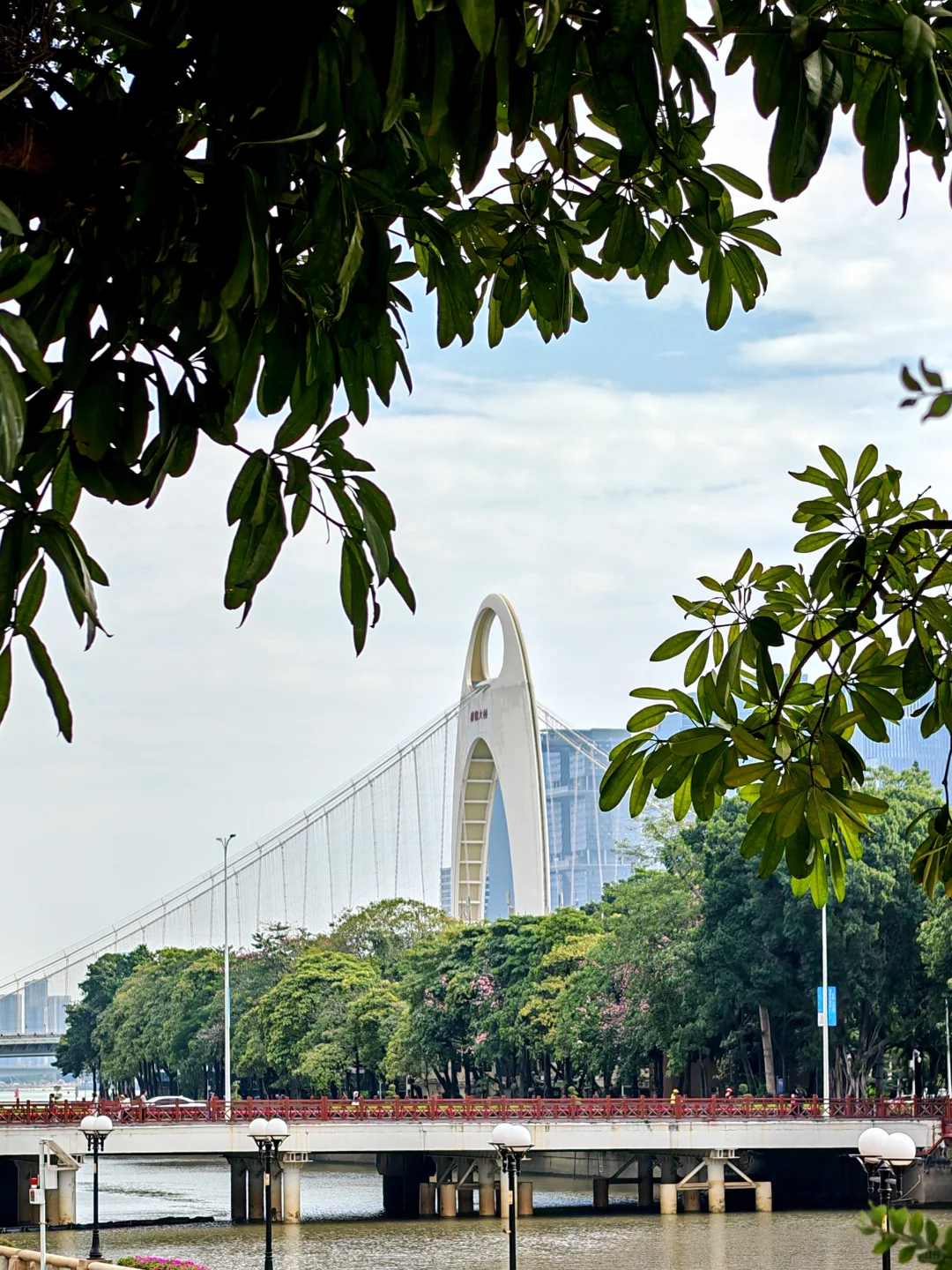 在广州最贵的地方晒太阳，是什么体验？