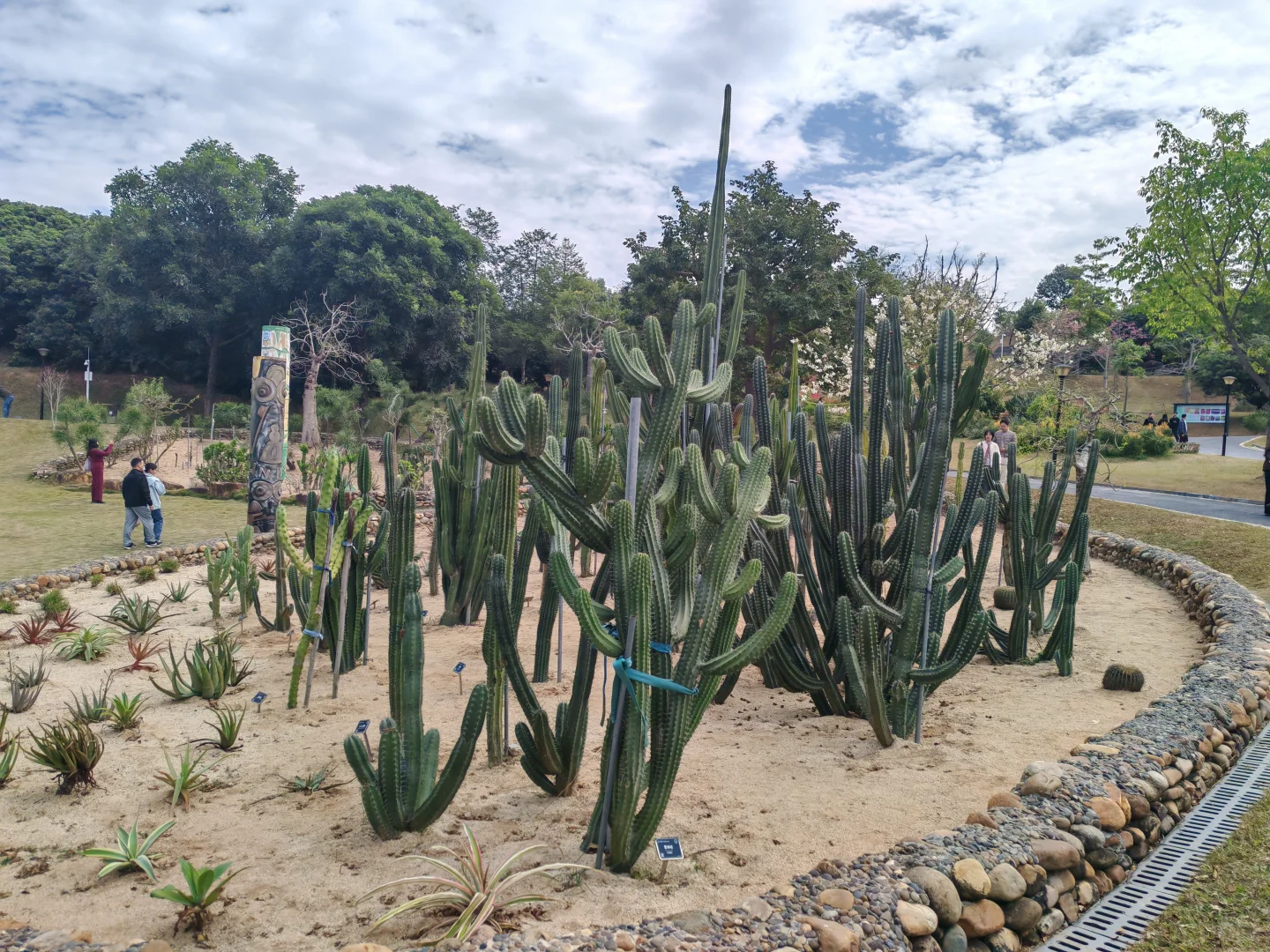 东莞植物园游玩攻略｜含网红爱心树打卡指南