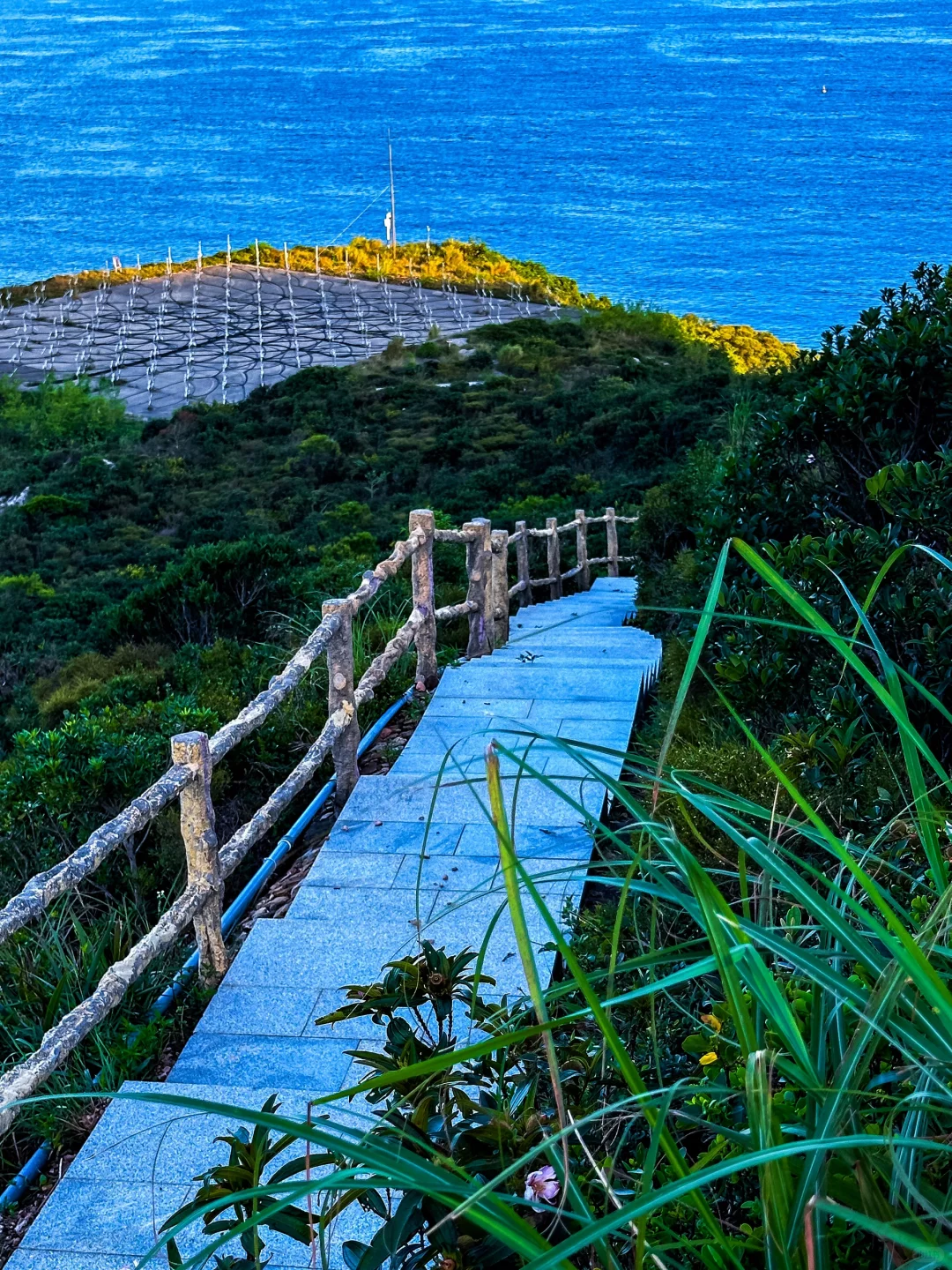 《国家地理》没有骗我，深圳绝美海岸线攻略