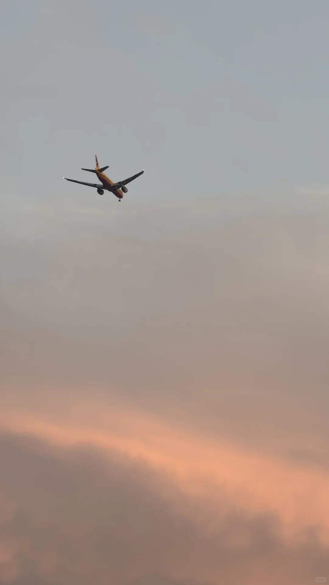 东莞·在海边看日落的18个瞬间｜live photos