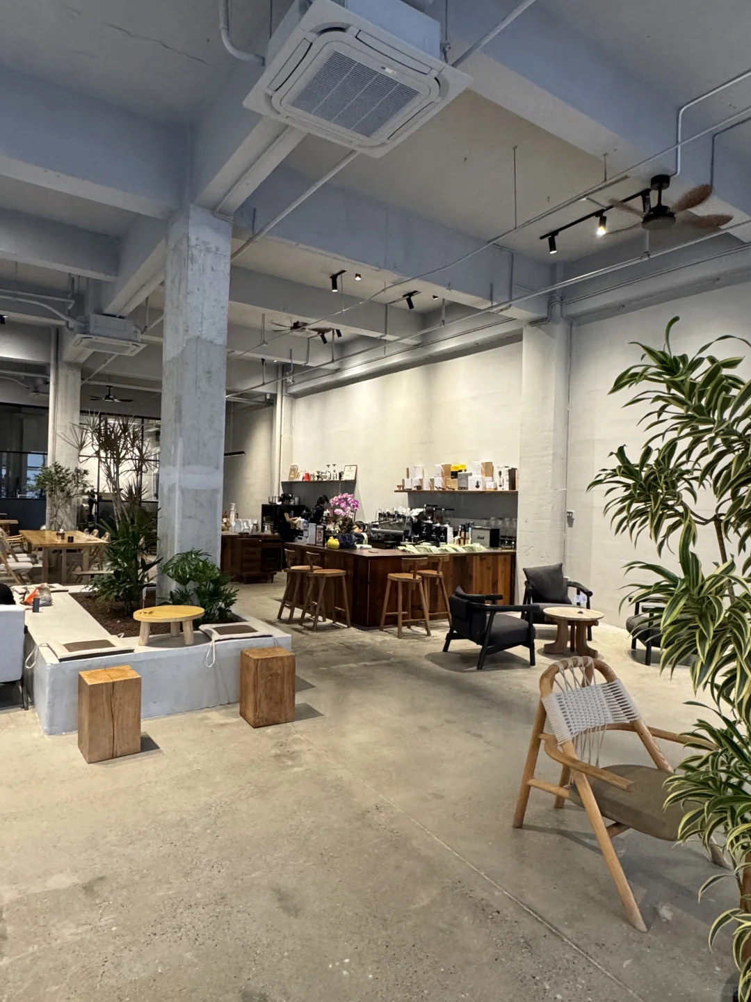 东莞新店｜很合适i人待一天的下午茶☕️