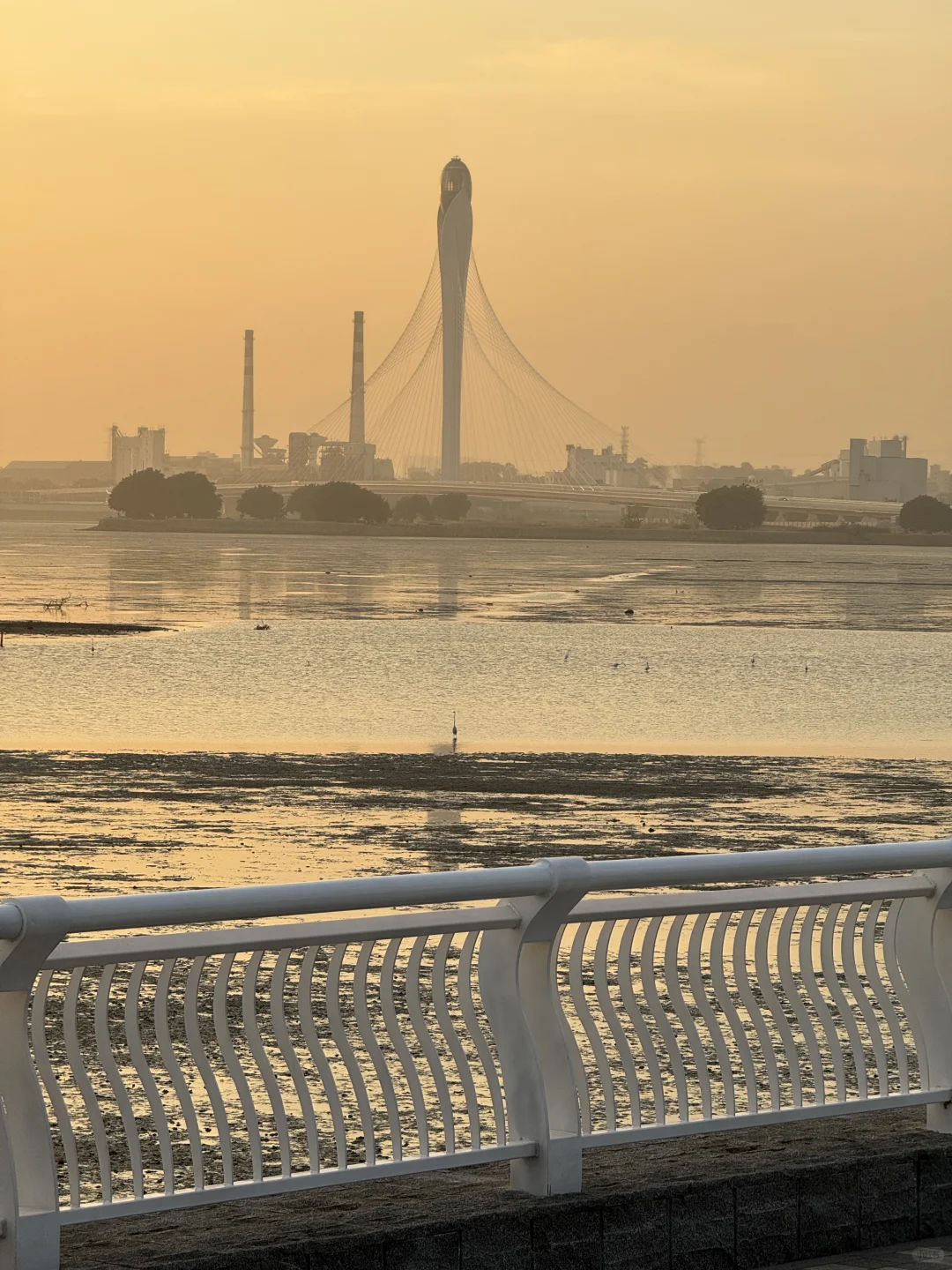 东莞·在海边看日落的18个瞬间｜live photos