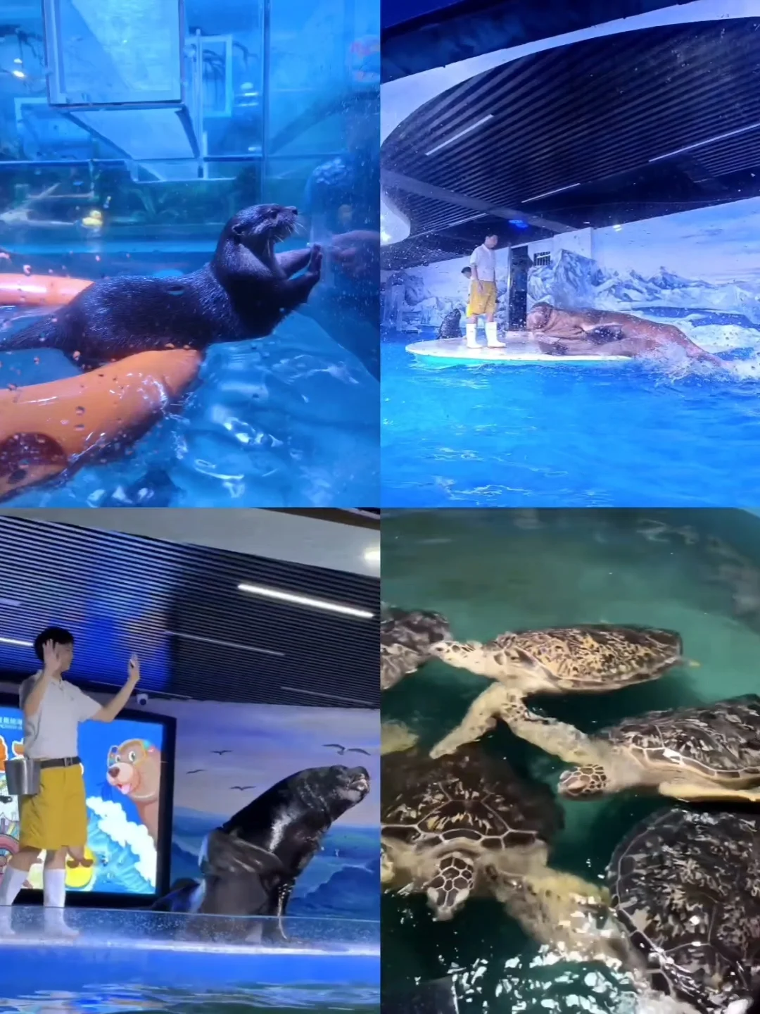 不允许你不知道❗❗广州遛娃天花板！