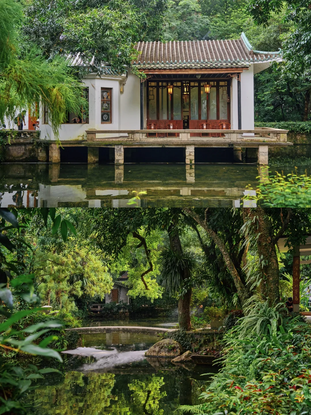 被问爆的广州古风园林☀️晴天直接美到封神～
