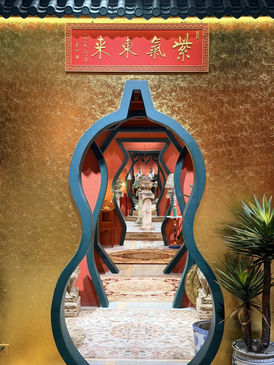 救命！对外开放啦！还免费…