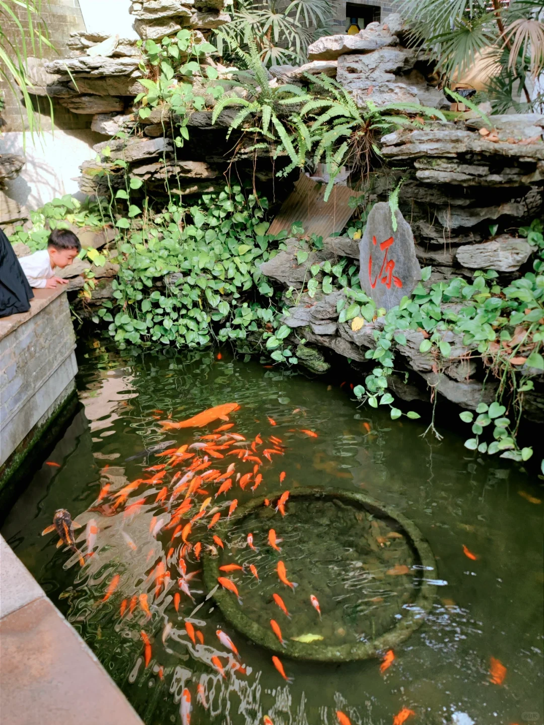 在广州一个人citywalk，拯救了我的高敏感