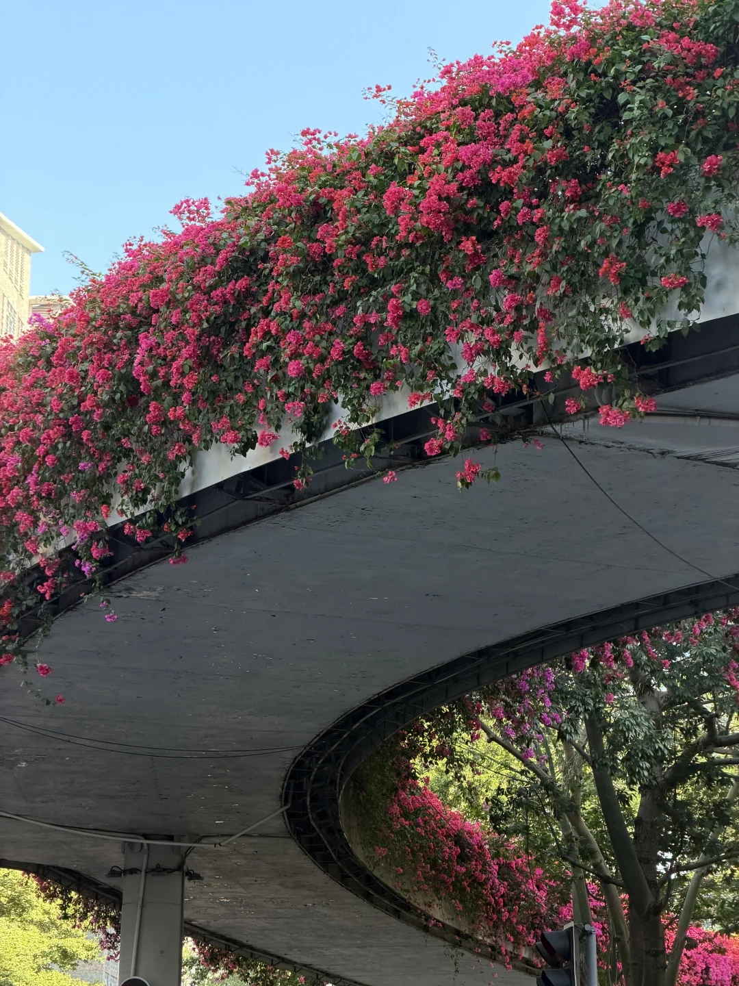 广州天桥藏着粉色惊喜！！！