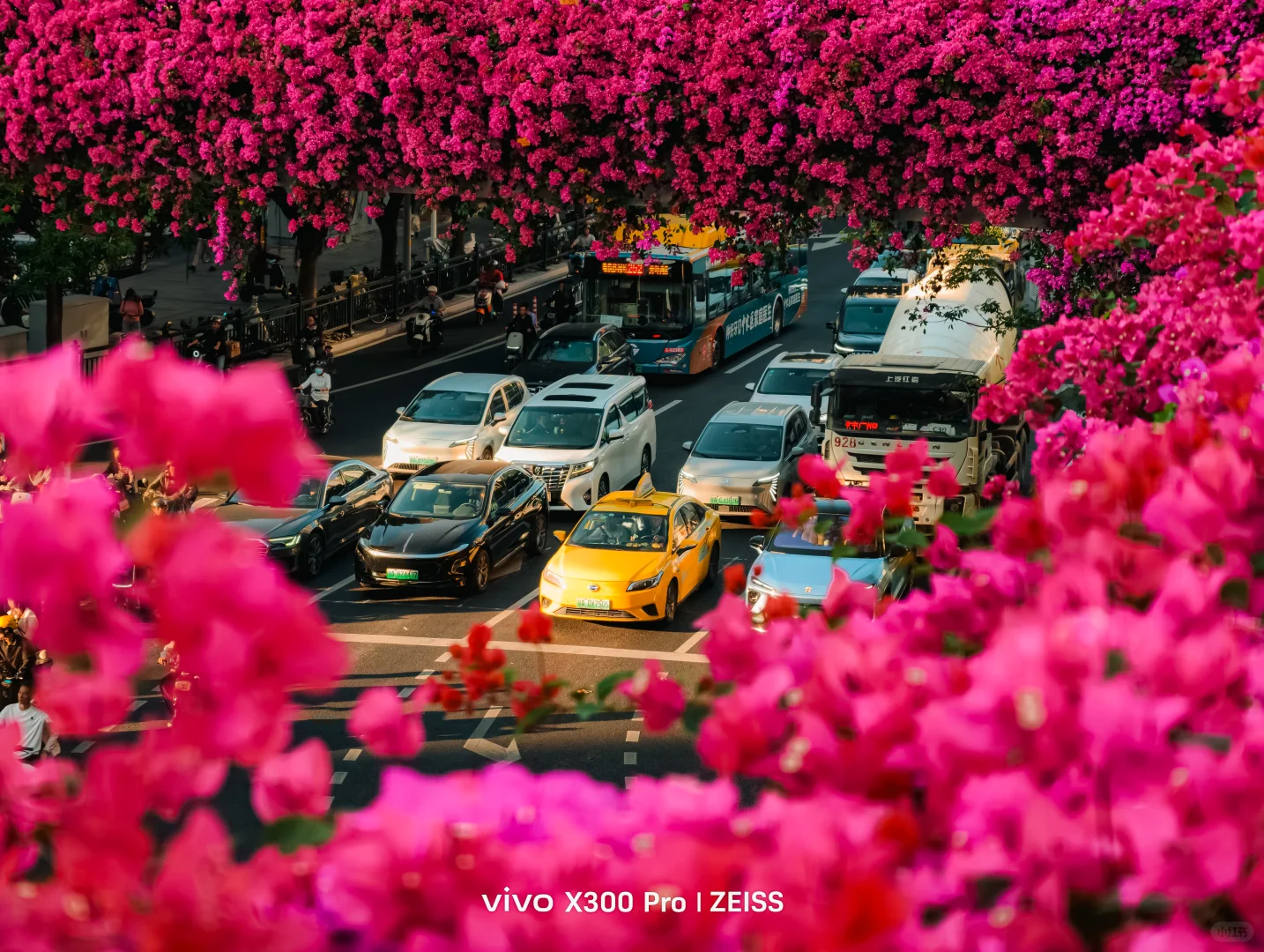 这不是春天，是12月的广州啊！附机位