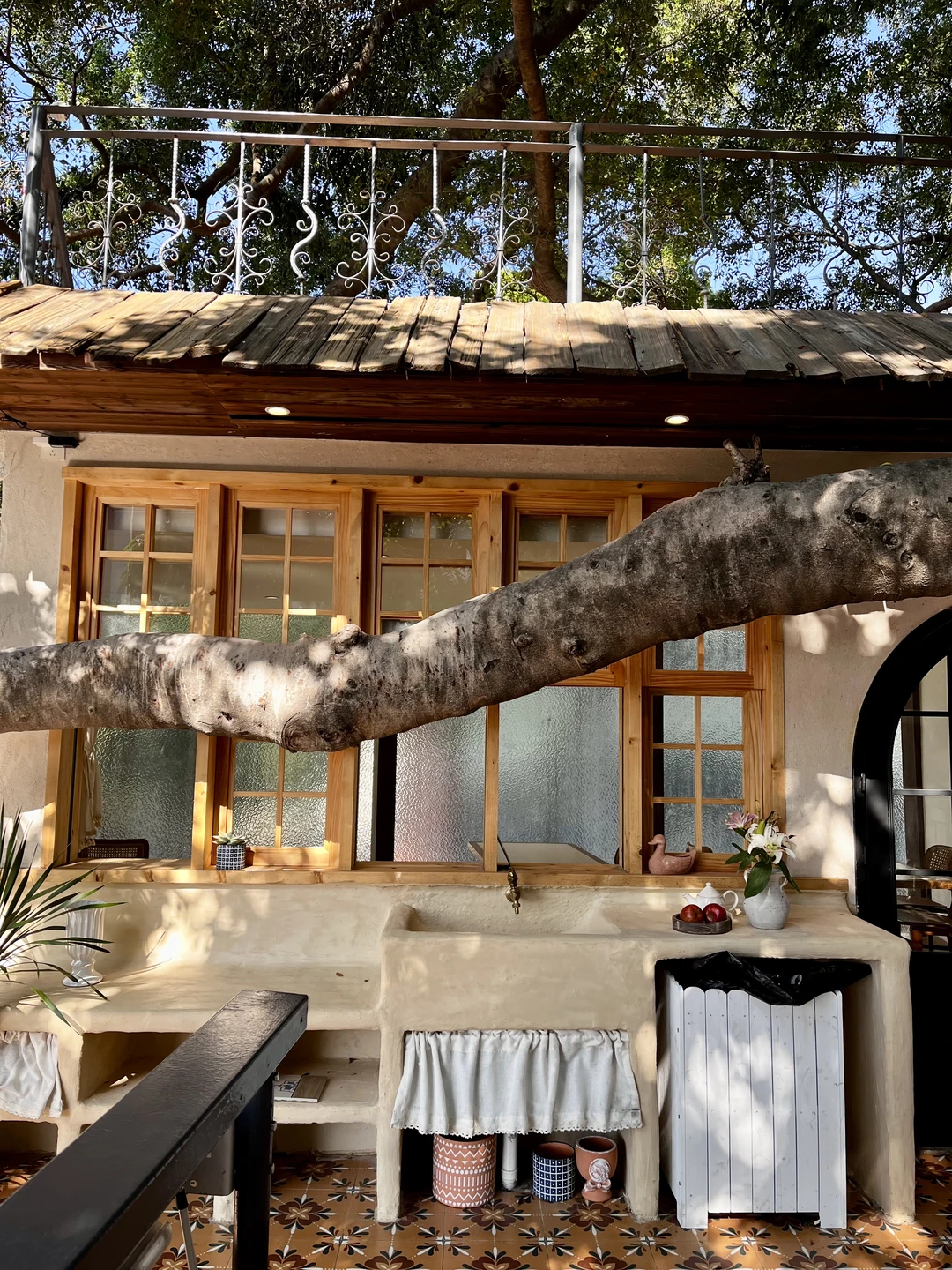 广州🌳🌳超好拍的独栋树屋咖啡