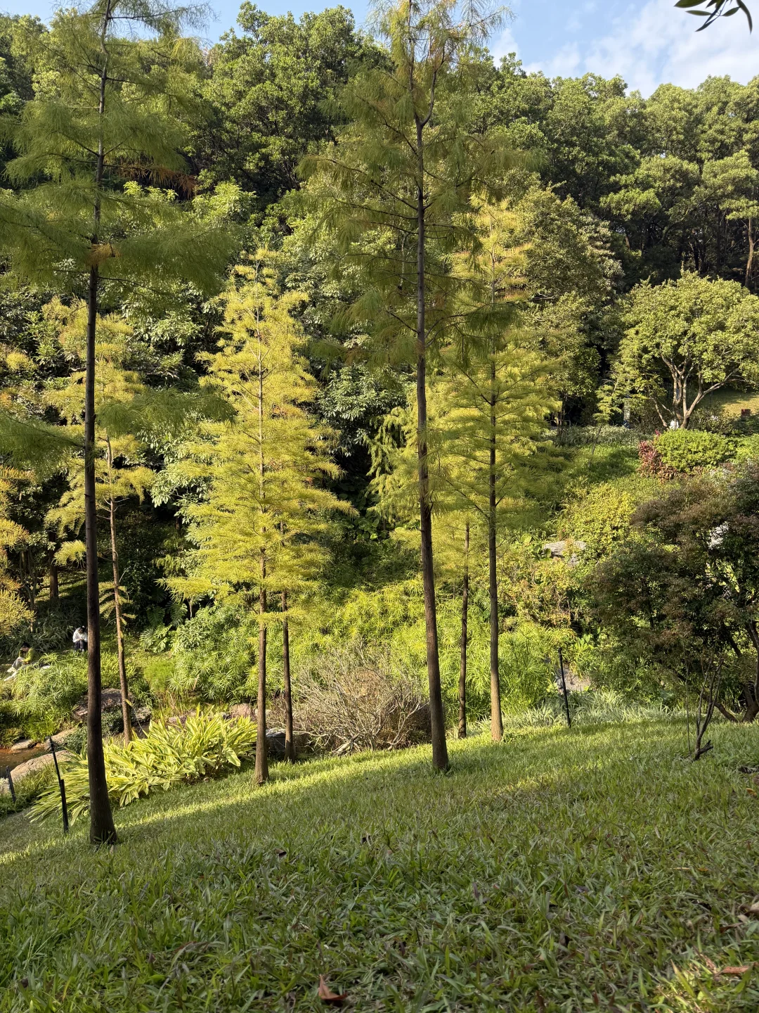 我推荐每个在广州的朋友立刻马上去
