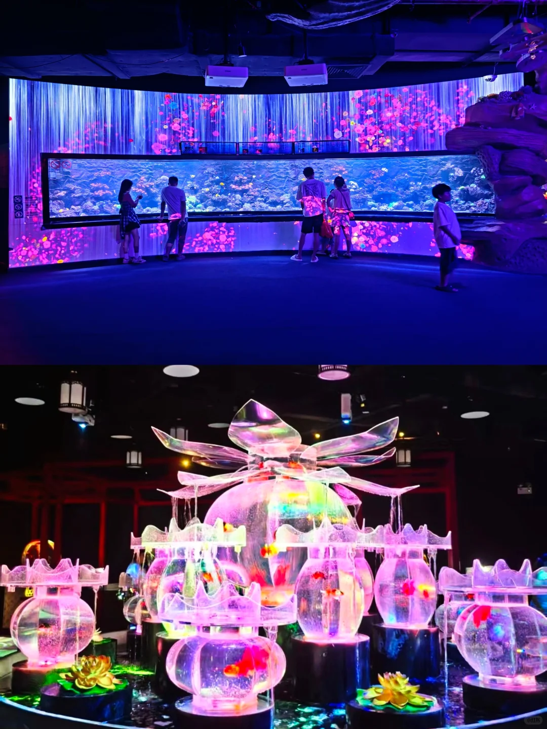 不允许你不知道❗❗广州遛娃天花板！