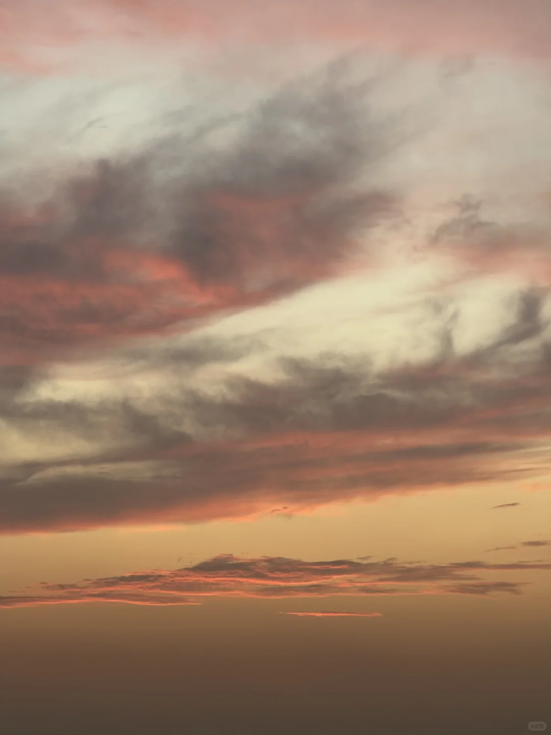 东莞·在海边看日落的18个瞬间｜live photos