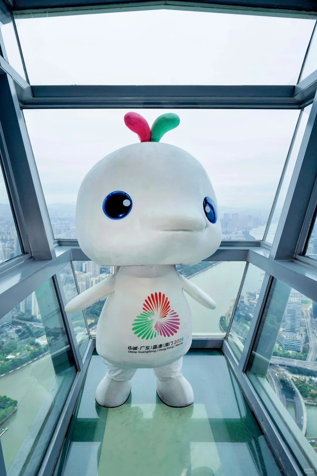 广州新的！！！对于来旅游的姐妹们太友好了