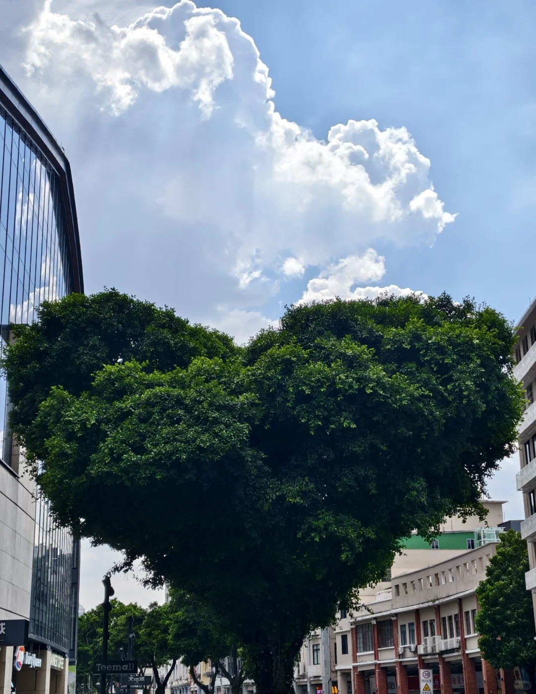 广州北京路打卡之旅🎟