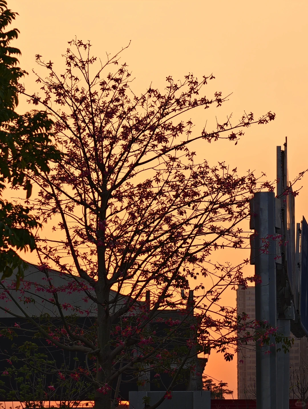 广州新地标｜船台1914拥抱无界珠江