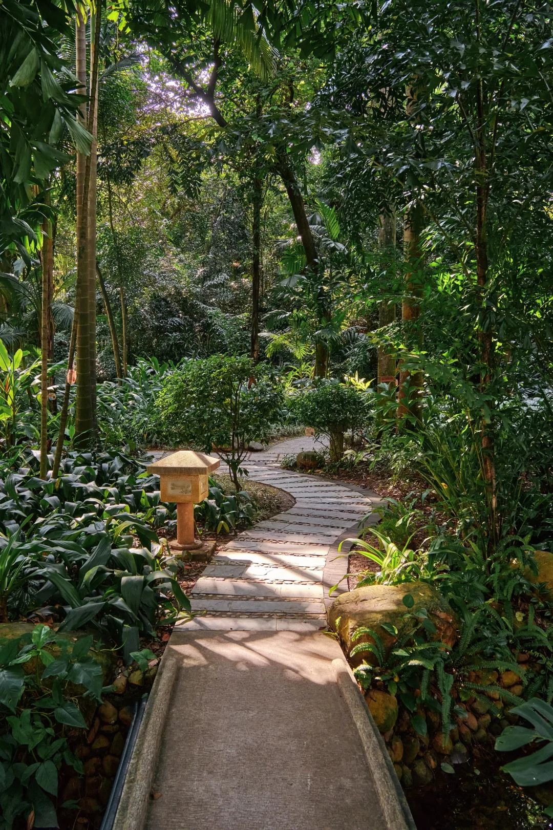 被问爆的广州古风园林☀️晴天直接美到封神～