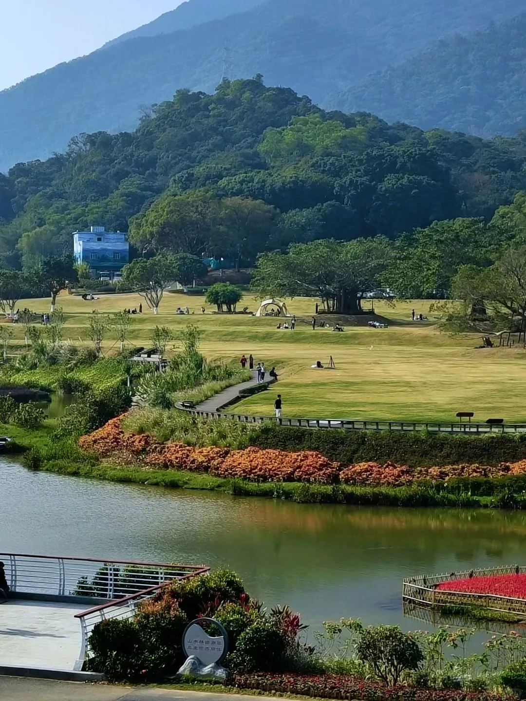 免费｜深圳18个出片的地方（附定位路线）