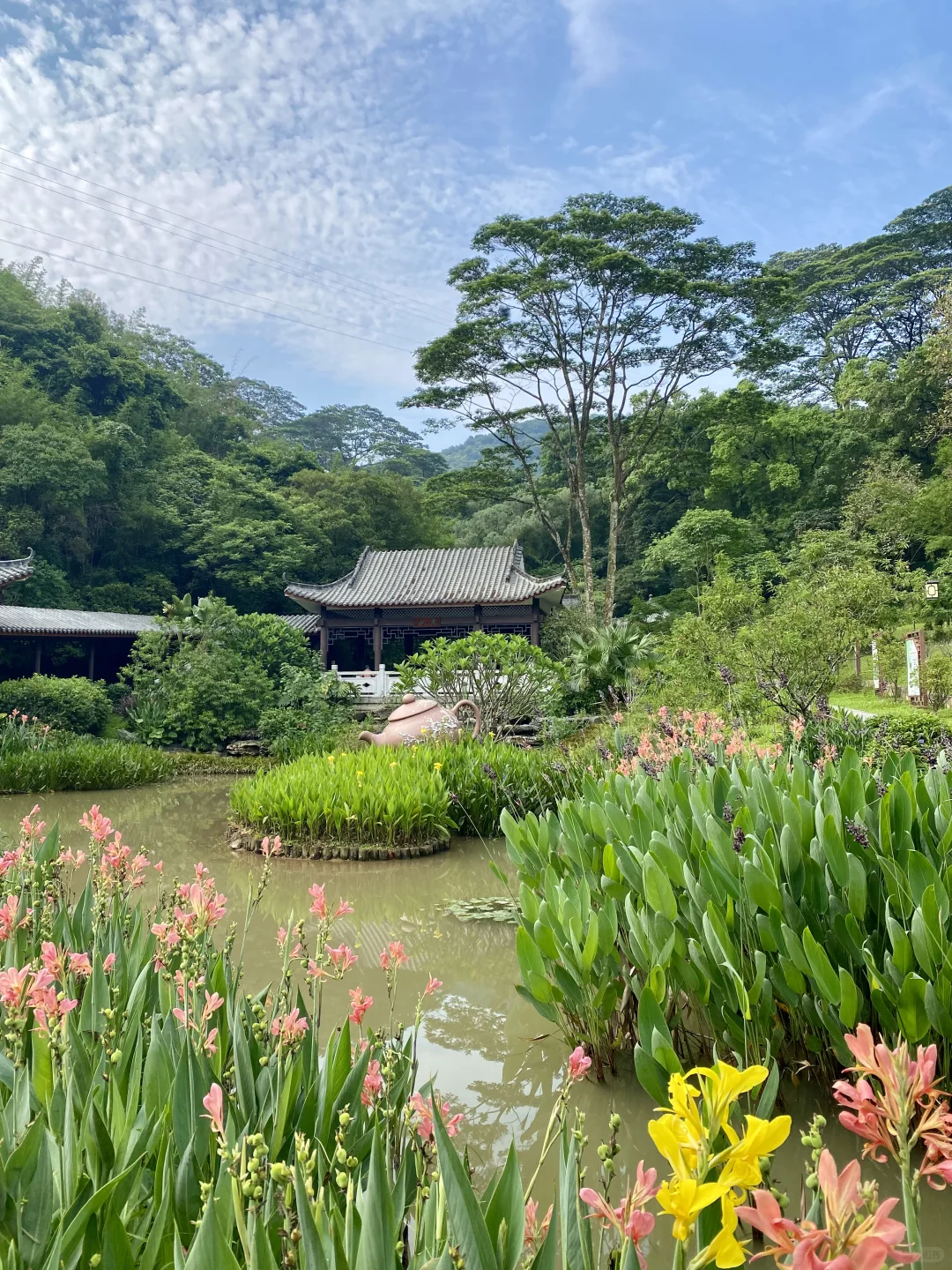 广州——白云山