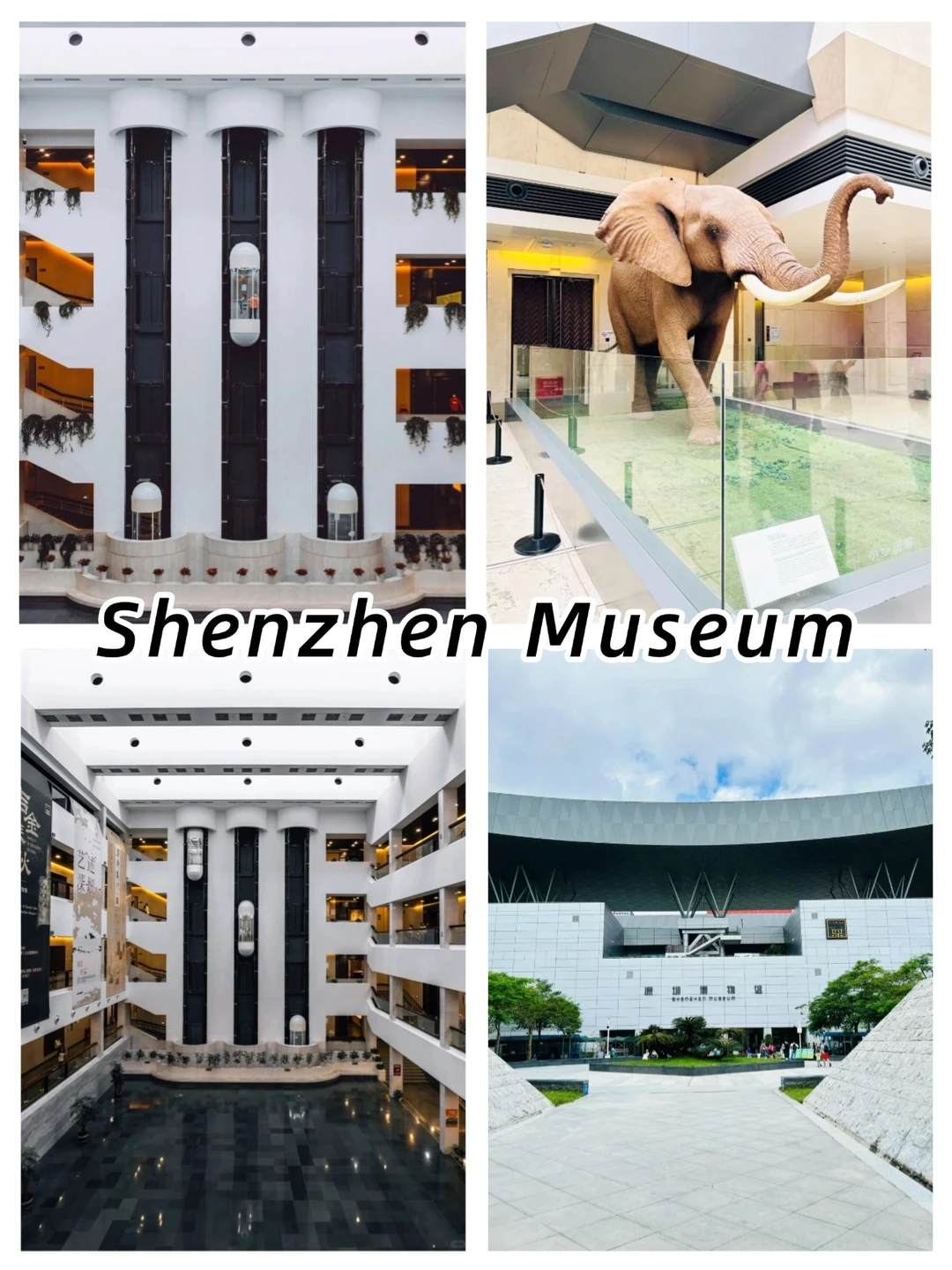 Shenzhen 4-Day: First Visit Must-See！