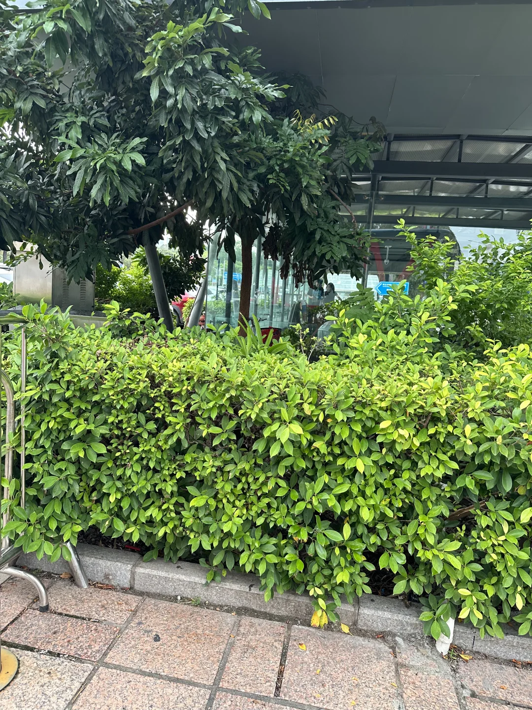 深圳世界之窗地铁站自取，我来啦～