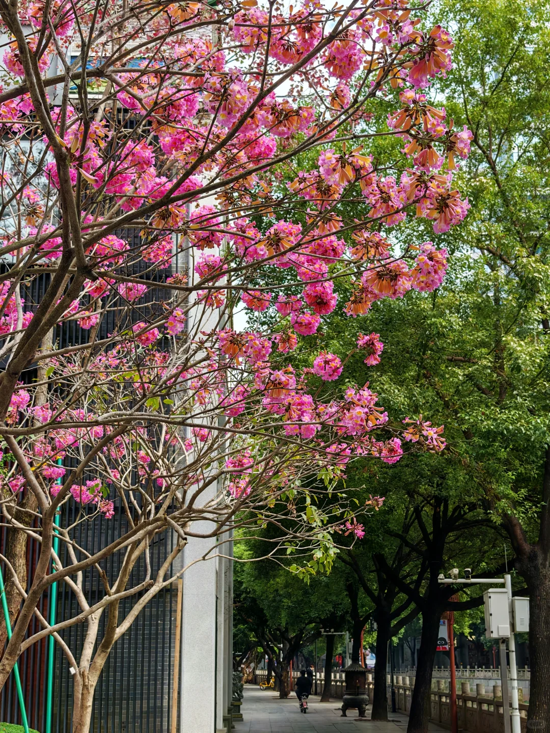 在广州最贵的地方晒太阳，是什么体验？