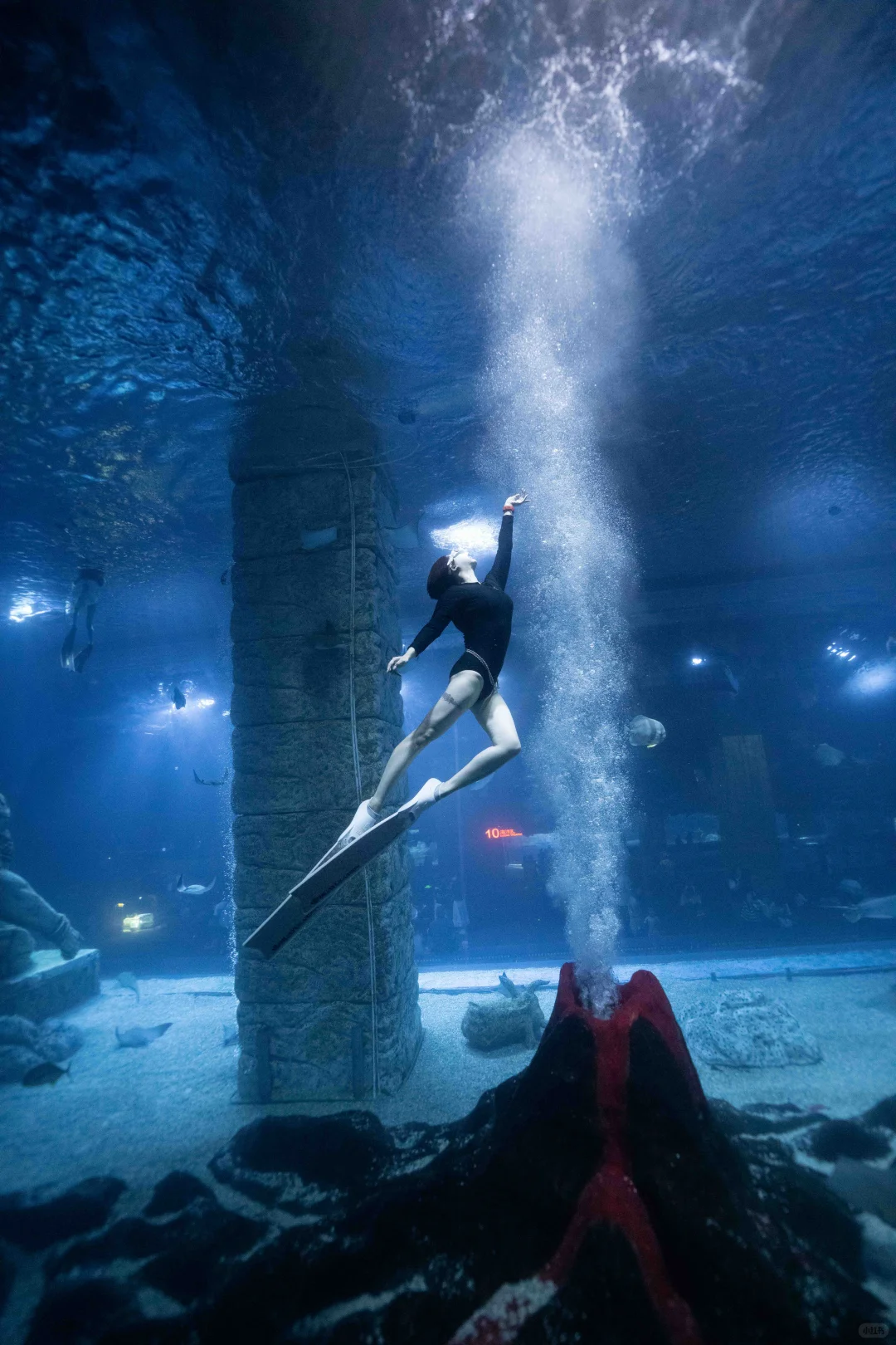 广州正佳极地海洋世界潜水中心