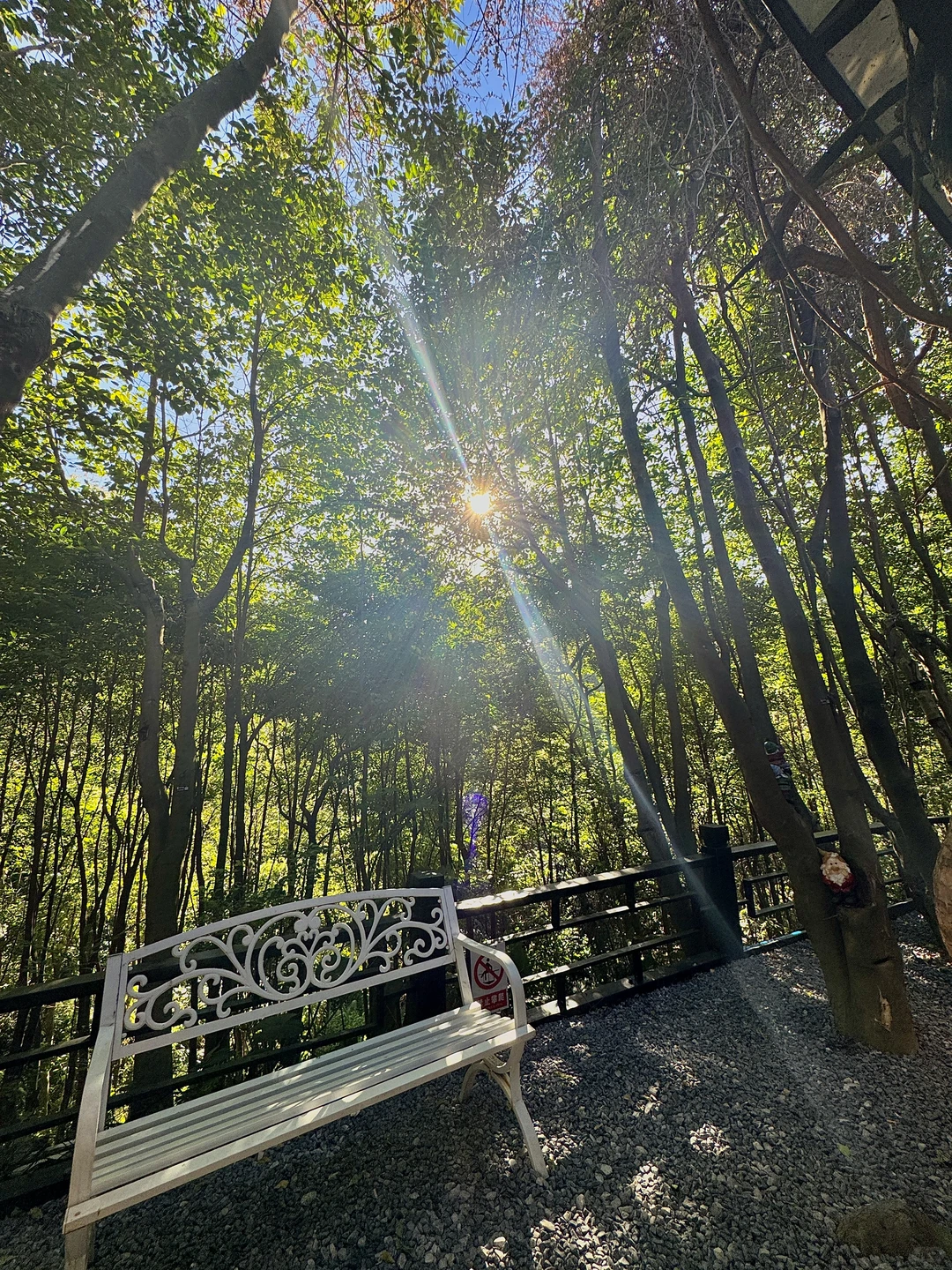 东莞｜愿意坐一天的森林瀑布咖啡屋🌳