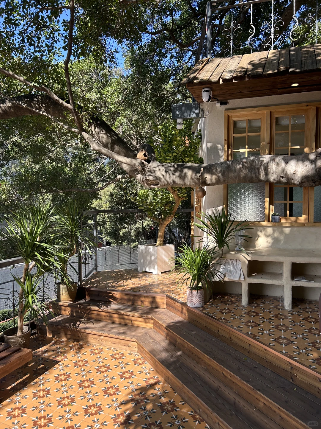 广州🌳🌳超好拍的独栋树屋咖啡