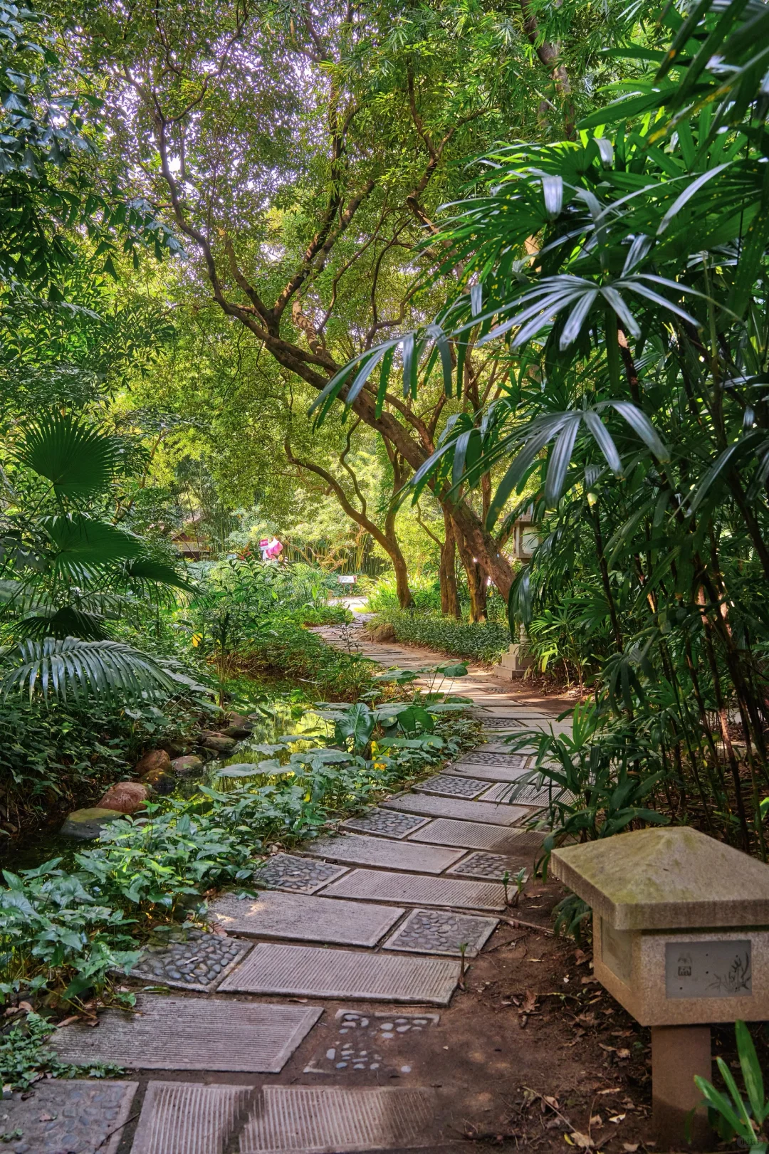 被问爆的广州古风园林☀️晴天直接美到封神～