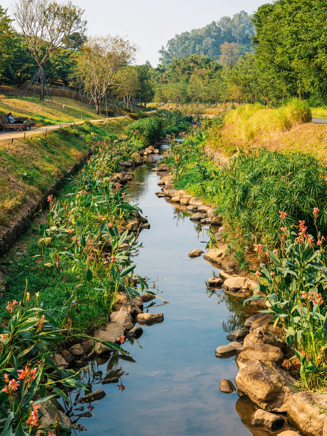 谁敢信❗️ 这是在深圳的秋日油画风秘境