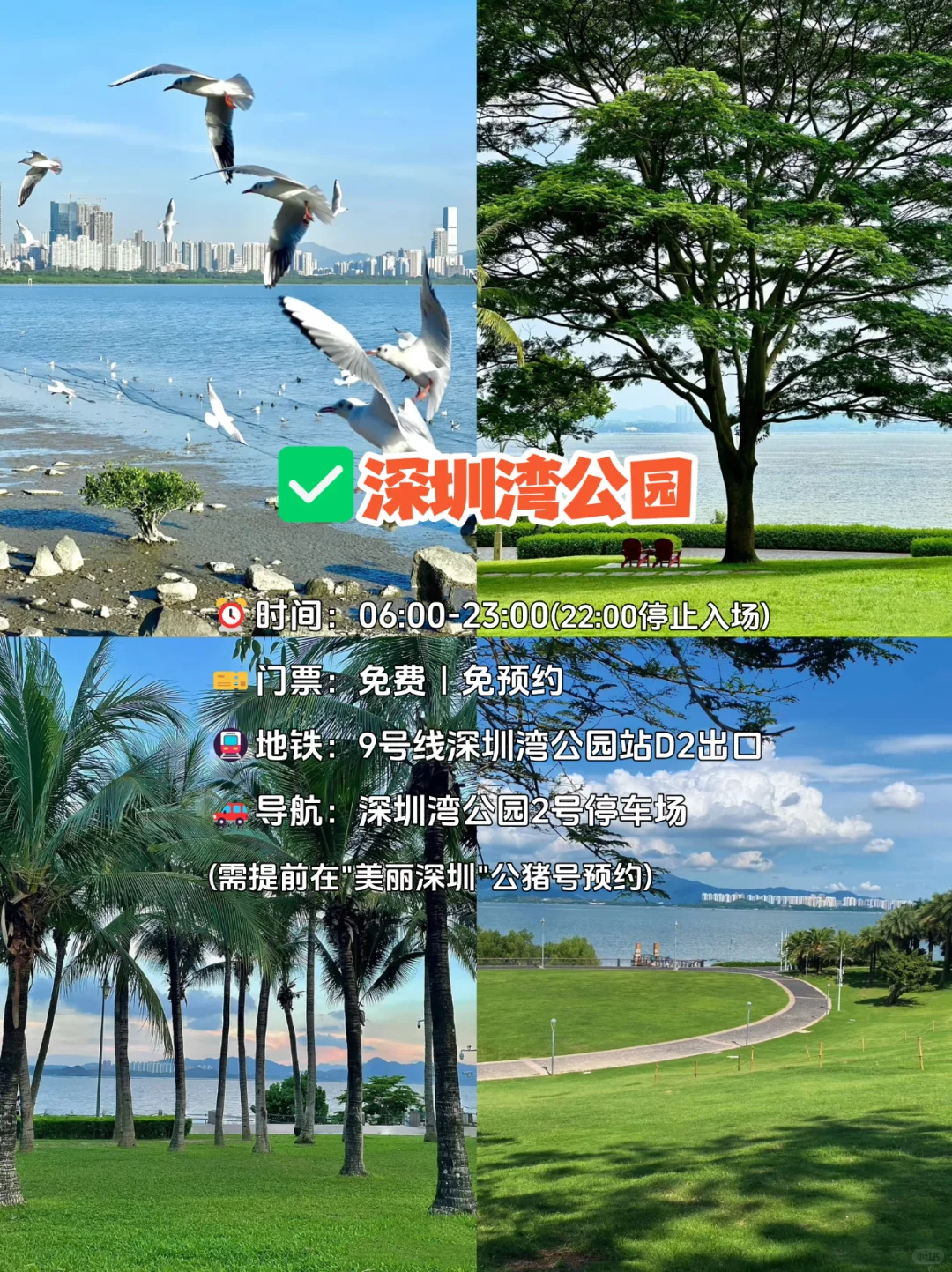 深圳三天两夜旅游攻略📍本地人推荐✅超详细