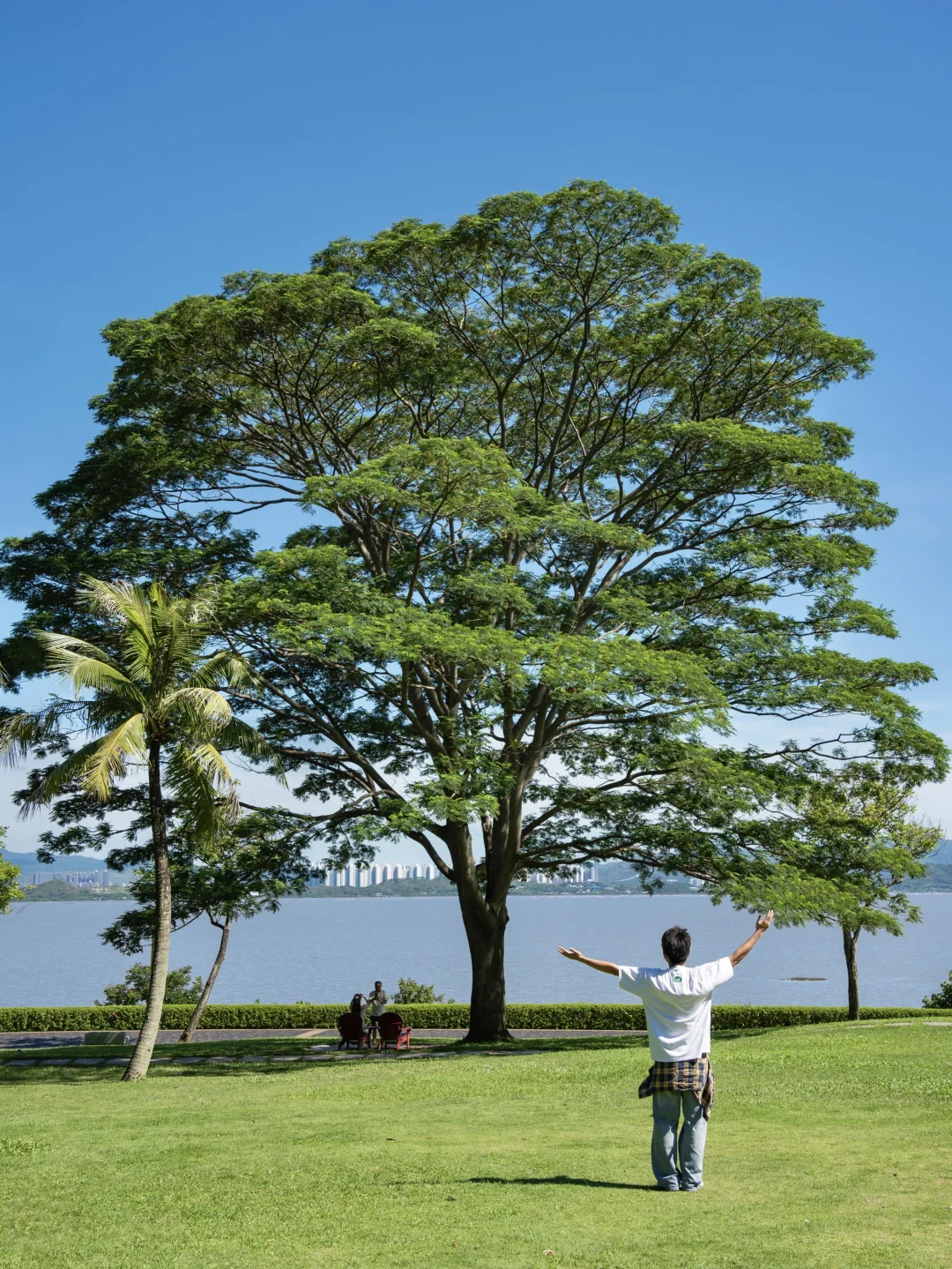 深圳一日citywalk，建议直接复制这条路线‼️