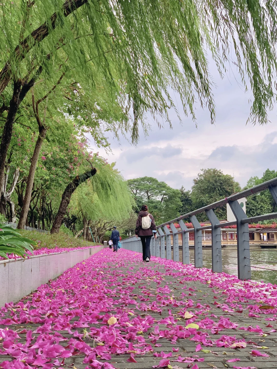 广州Live🌸落红不是无情物…此刻具象化了！！