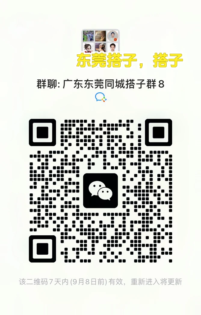 东莞搭子集合、集合