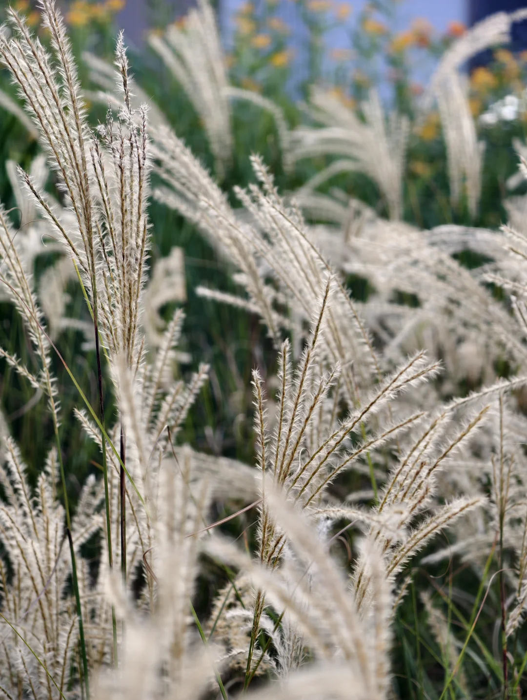 广州新地标｜船台1914拥抱无界珠江