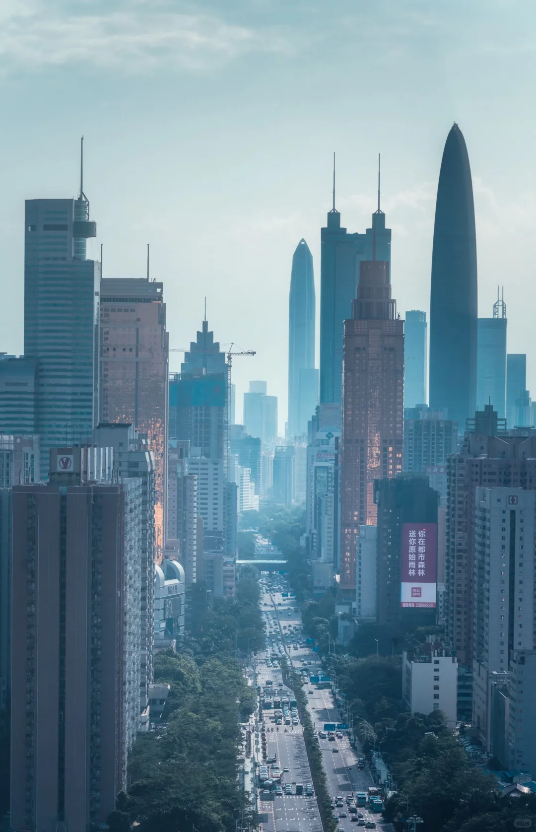 不敢想象45年前的今天，这里还是一片滩涂