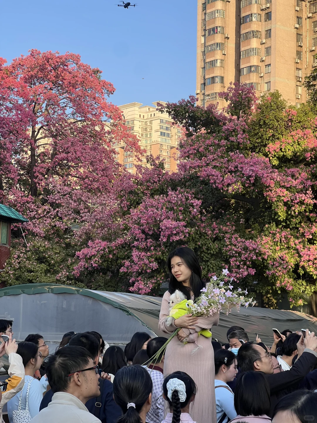 花开了的时候在广州