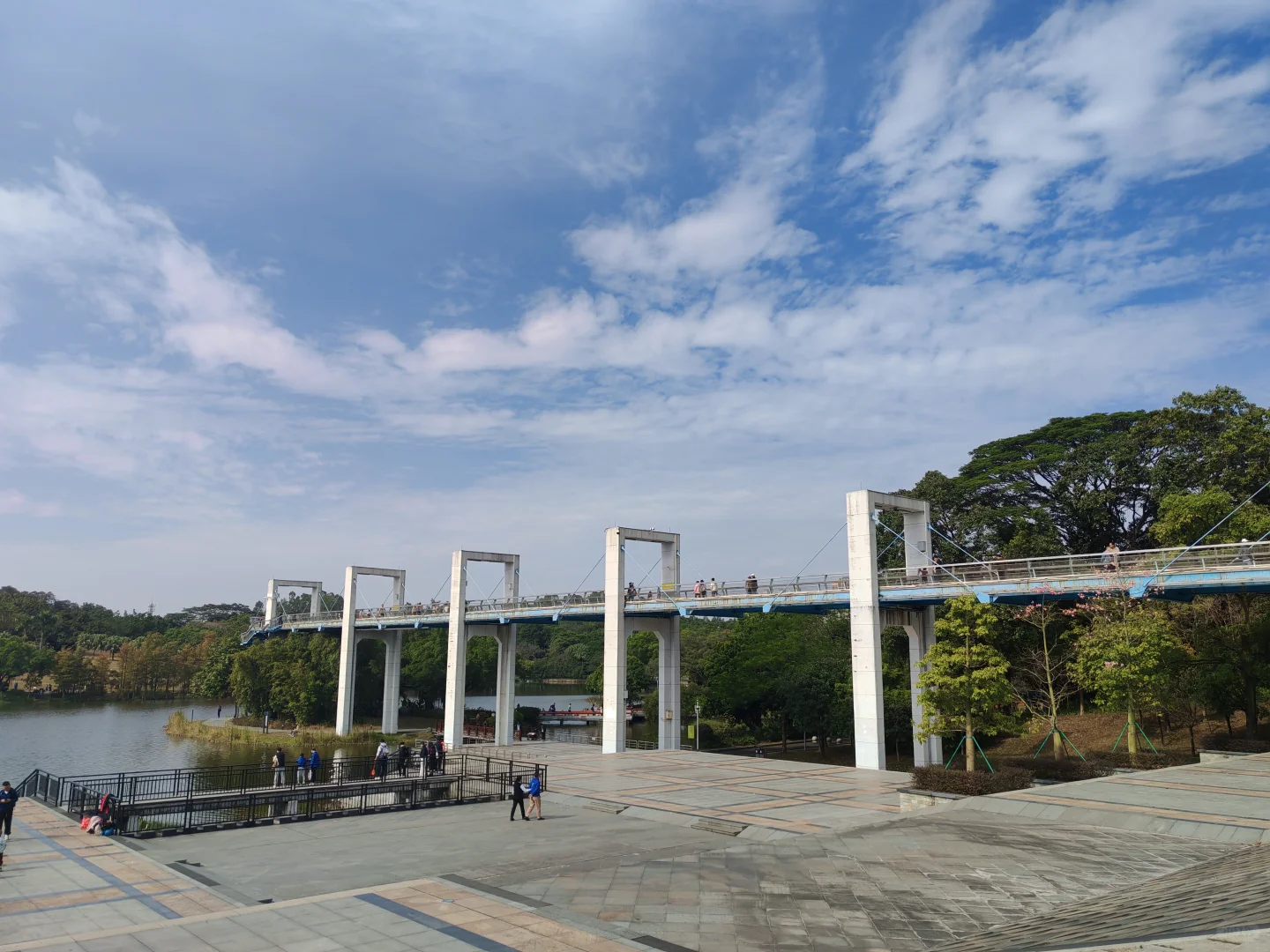 东莞植物园游玩攻略｜含网红爱心树打卡指南