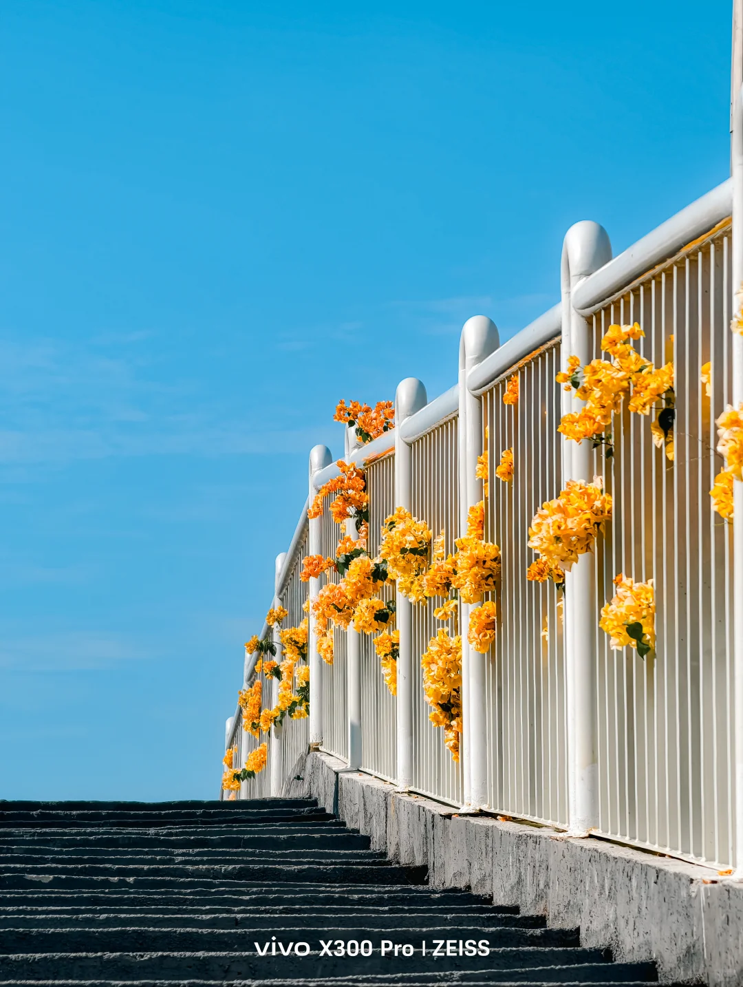 这不是春天，是12月的广州啊！附机位