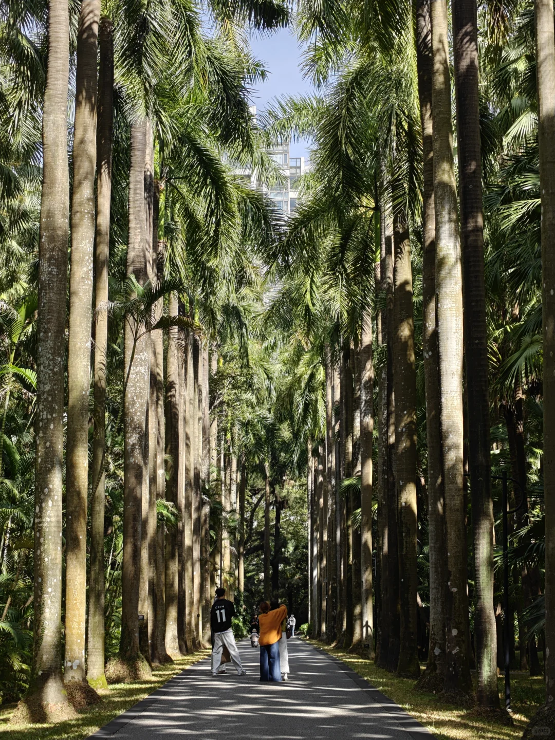 好喜欢广州这两个月的天气啊，真的太舒服啦